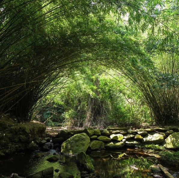 荔枝窩村地質公園