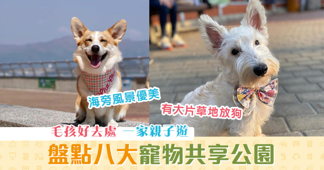週末親子遊-寵物共享公園-毛孩