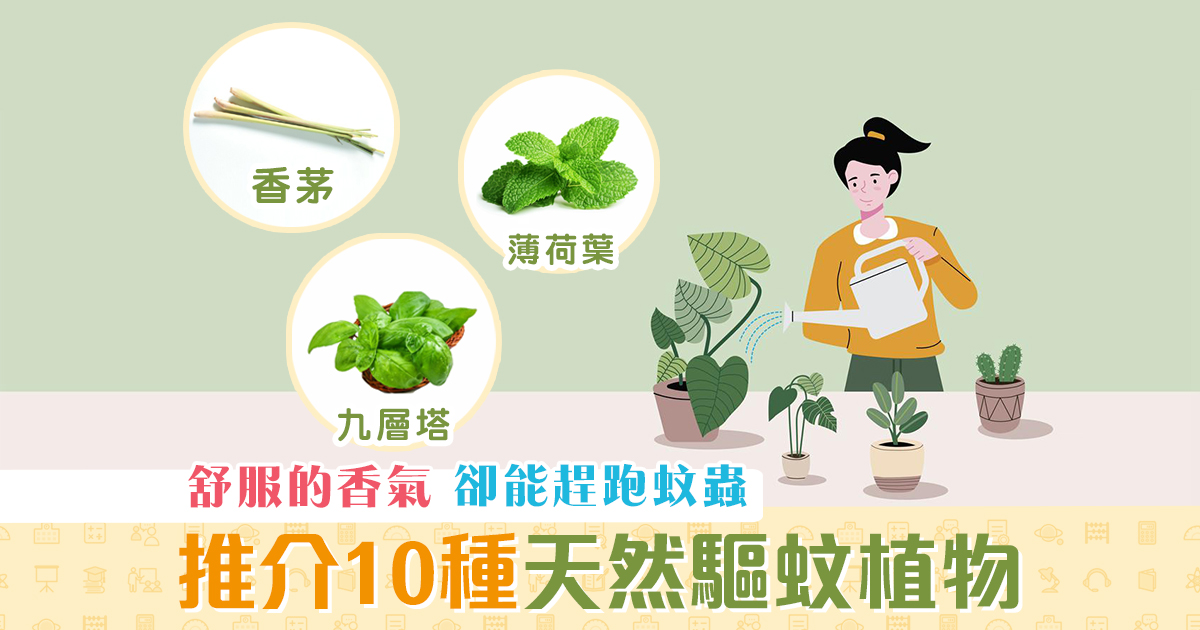 健康資訊-天然-驅蚊-植物