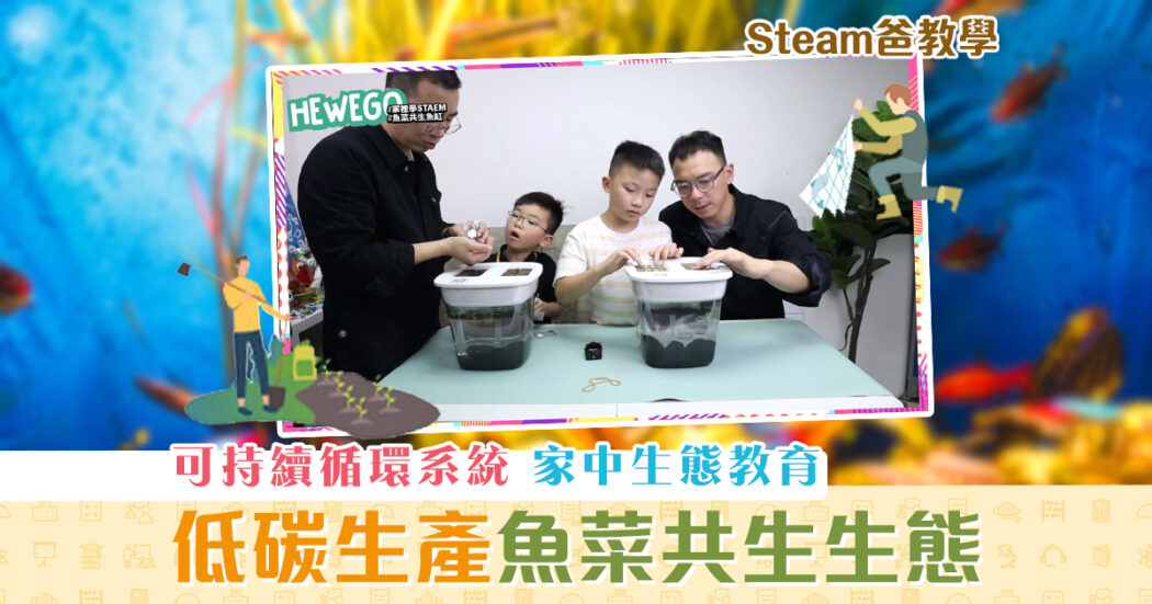 steam爸教學-hewego-生態教育-魚菜共生