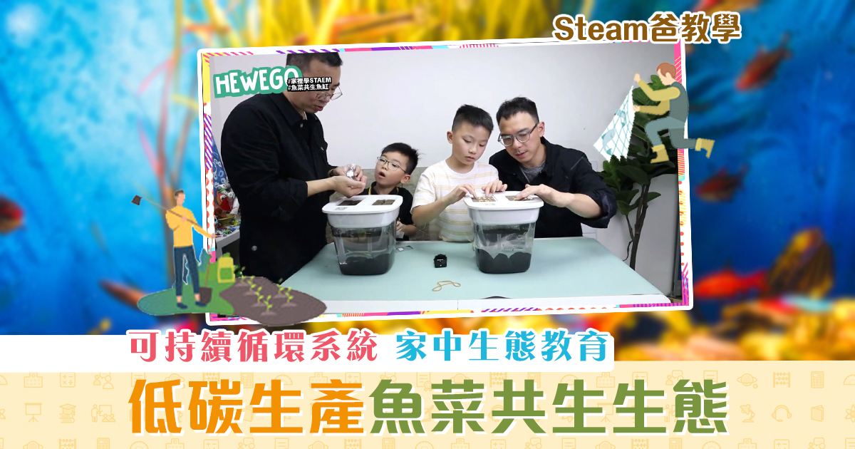 steam爸教學-hewego-生態教育-魚菜共生