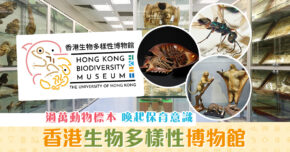 週末親子遊-香港首個-生物多樣性-博物館