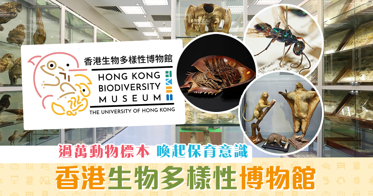 週末親子遊-香港首個-生物多樣性-博物館