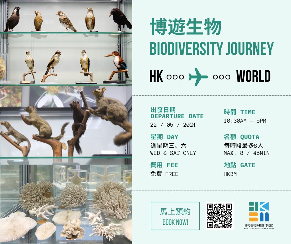 週末親子遊-香港首個-生物多樣性-博物館