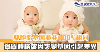 【育兒趣聞】雙胞胎 基因不完全一樣  身體特徵會有差異