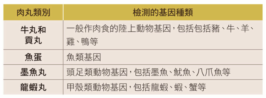 肉丸