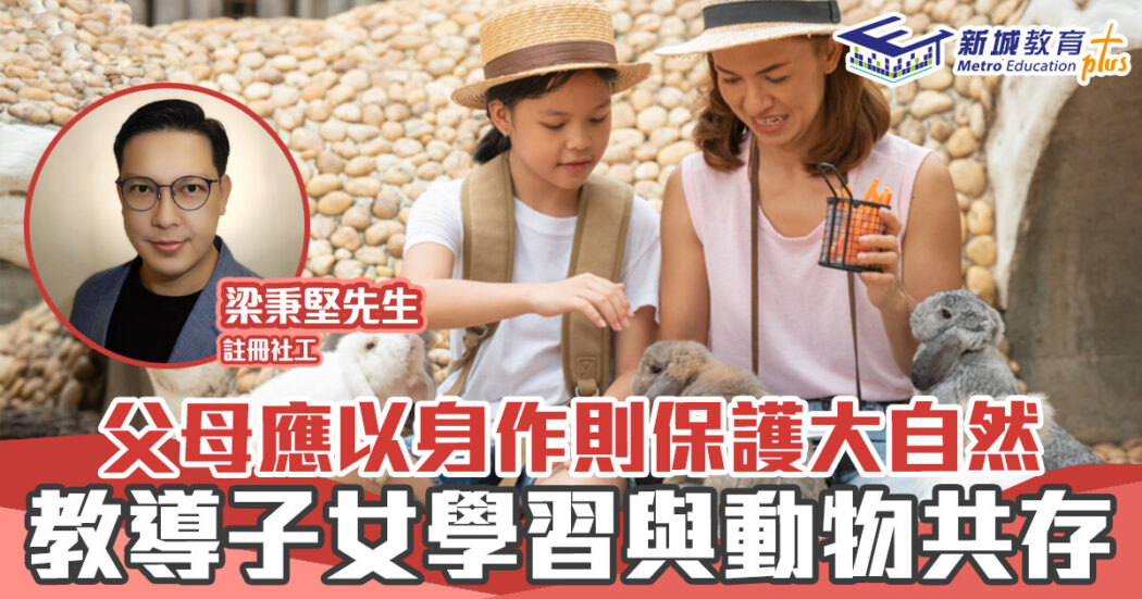 正向成長-大自然-暴力