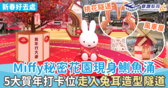 新春好去處｜Miffy秘密花園現身鰂魚涌  5大賀年打卡位 走入兔耳造型隧道