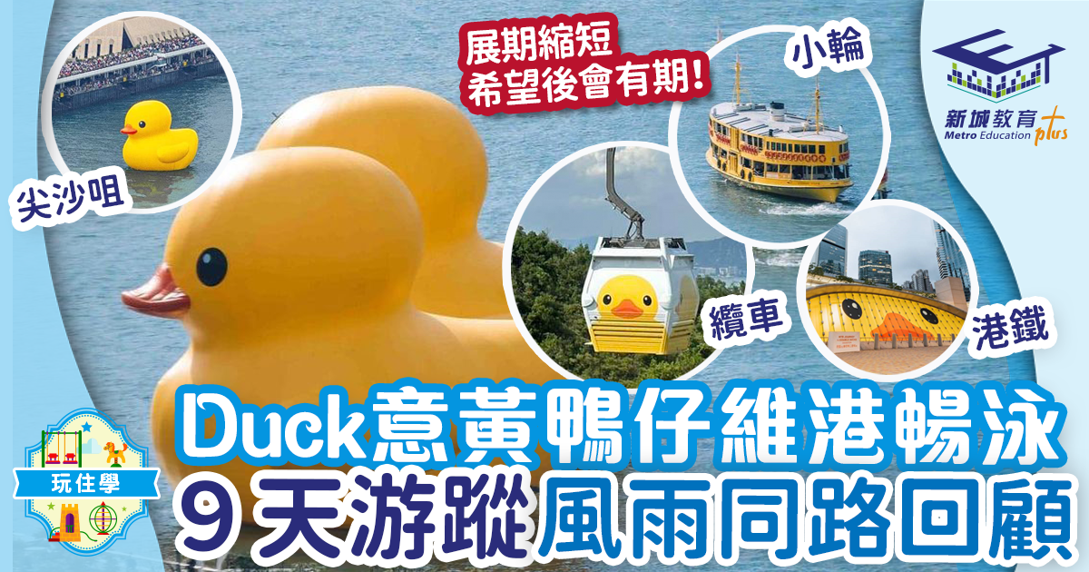 Duck意黃色橡皮鴨維港暢泳 ９天游蹤風雨同路回顧