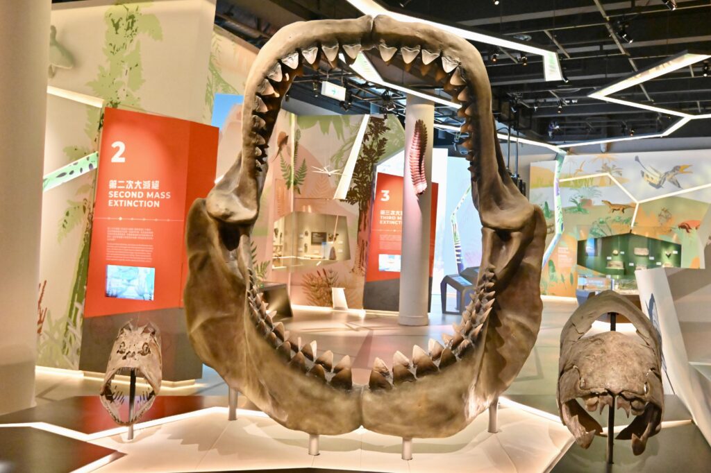 好去處-科學館-展覽-古生物-化石-恐龍滅絕6